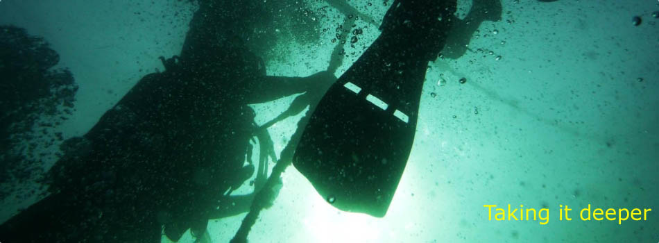 slideshow 1